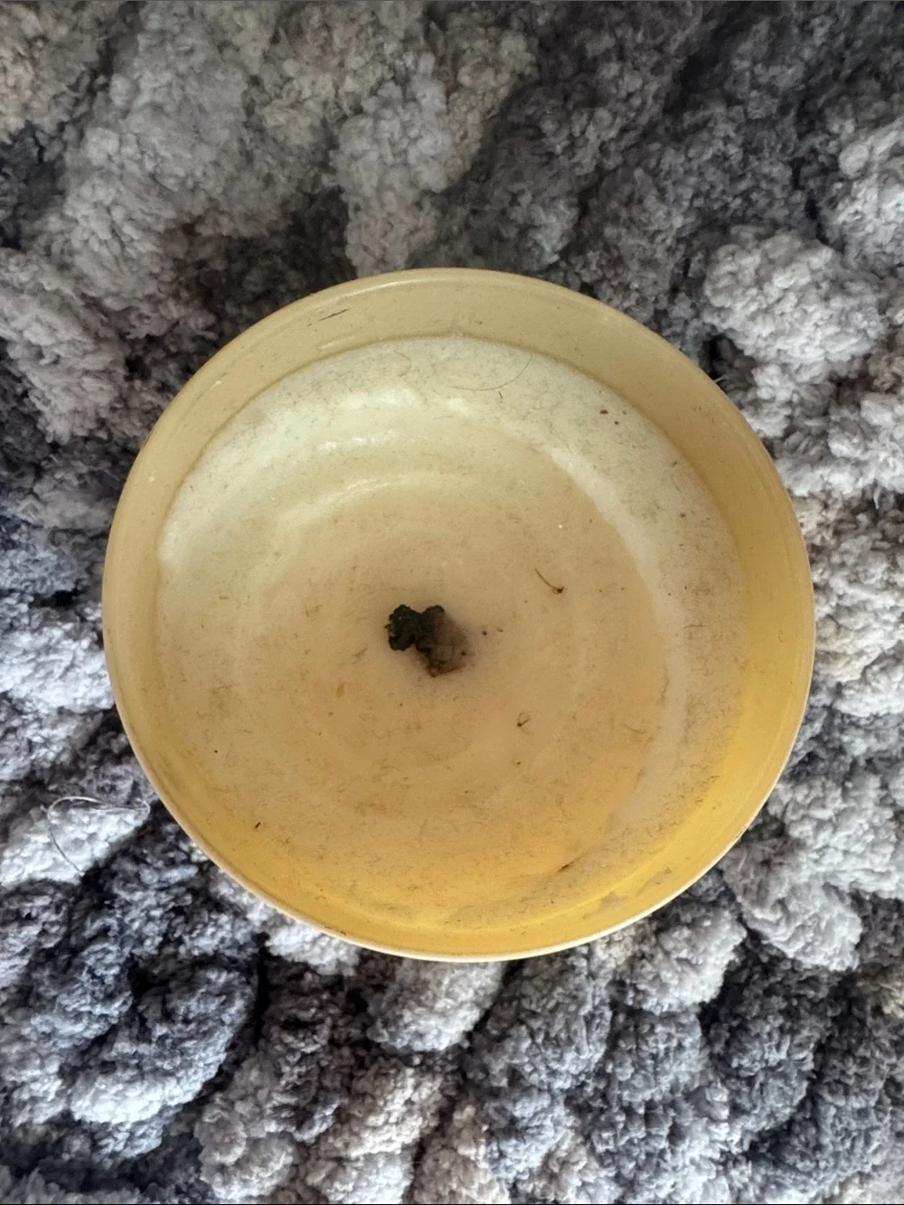 Anthropologie Cream Moody Manhattan Candle